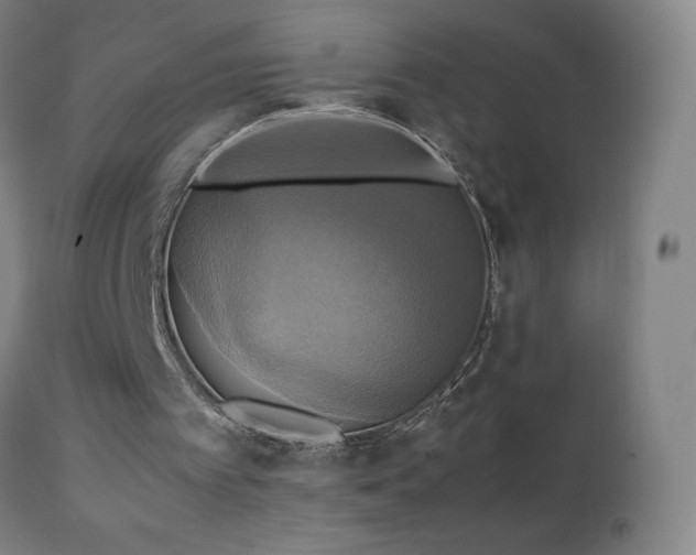 X0000111230097200907021408