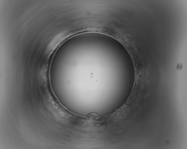 X0000111230098200907021408