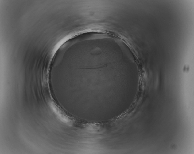 X0000111230100200907021408