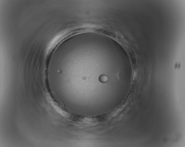X0000111230101200907021408