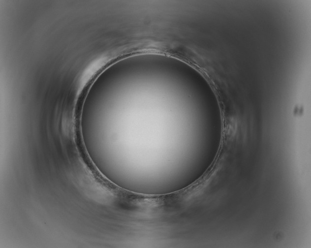 X0000111230102200907021408