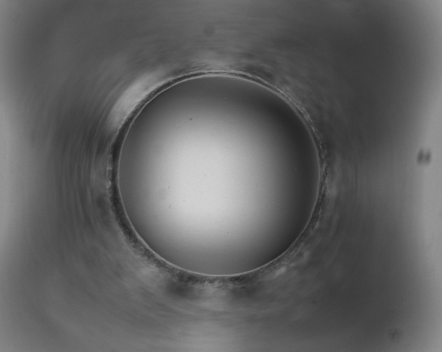 X0000111230103200907021408