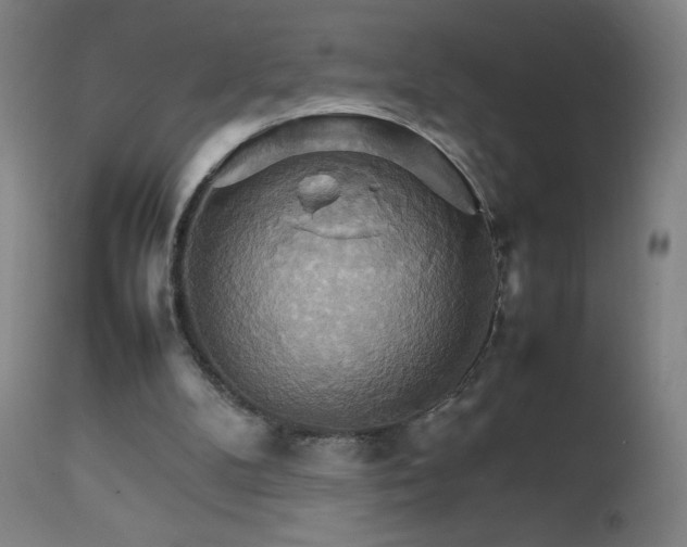 X0000111230104200907021408