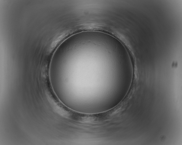 X0000111230105200907021408