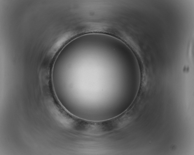 X0000111230107200907021408
