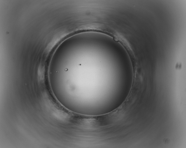 X0000111230108200907021408
