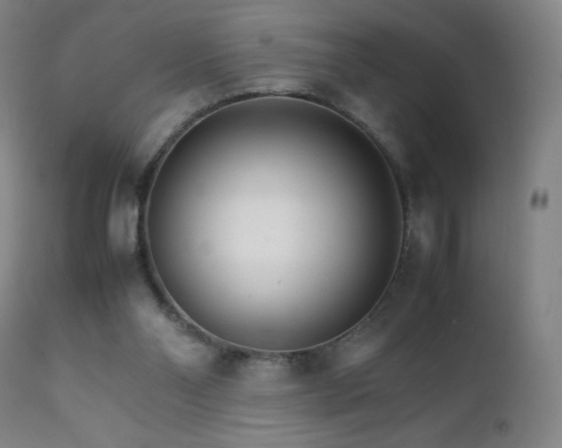 X0000111230110200907021408