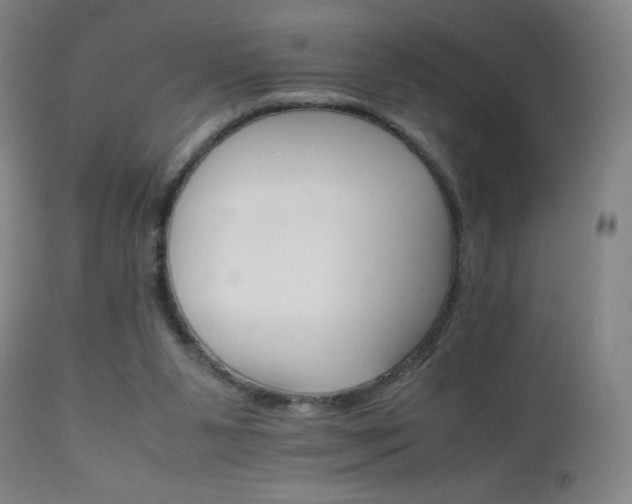 X0000111230111200907021408
