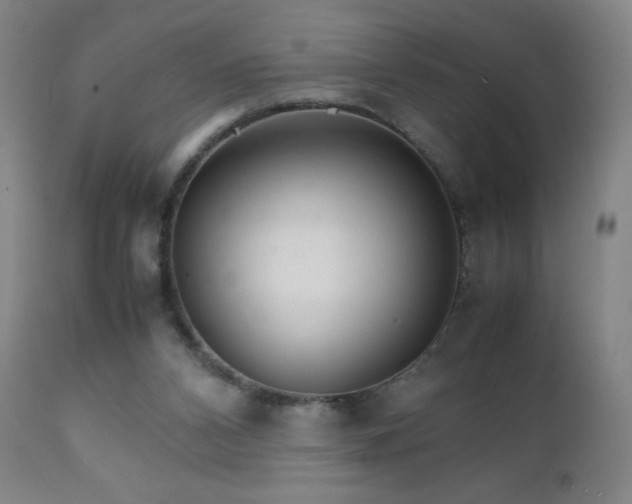 X0000111230112200907021408