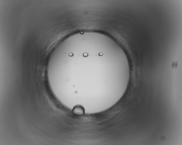 X0000111230115200907021408