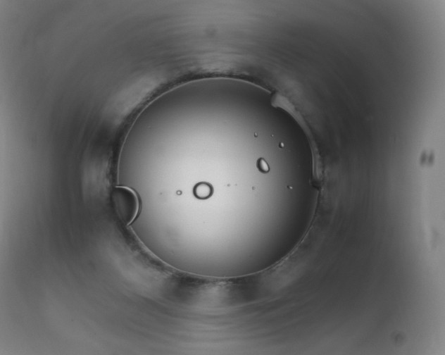 X0000111230116200907021408
