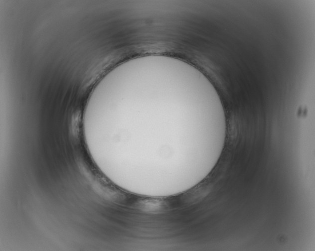 X0000111230118200907021408