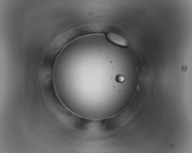 X0000111230119200907021408