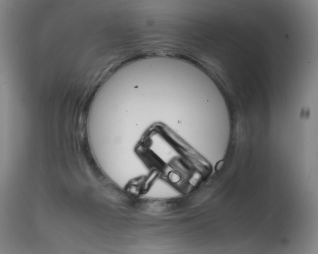X0000111230121200907021408