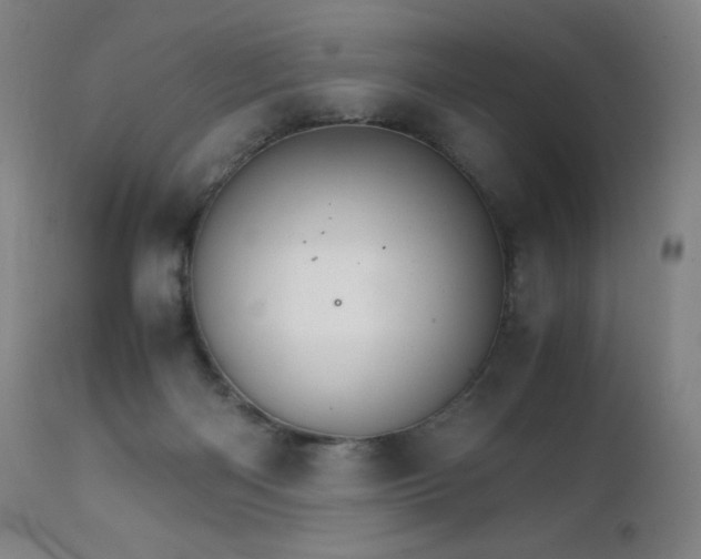 X0000111230122200907021408