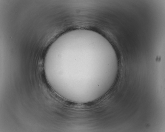 X0000111230123200907021408