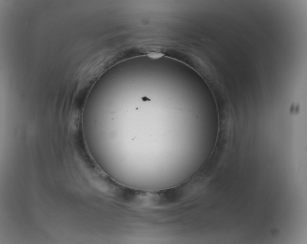 X0000111230125200907021408