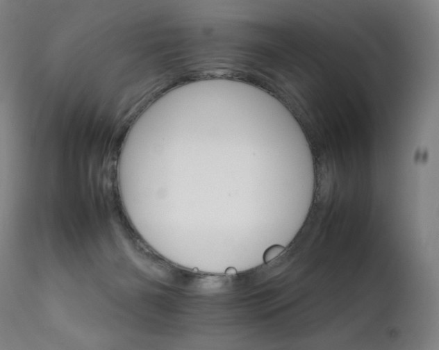 X0000111230126200907021408