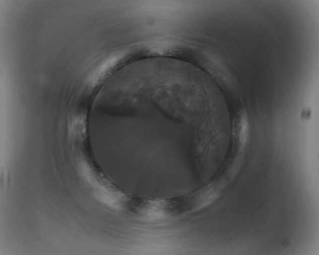 X0000111230127200907021408