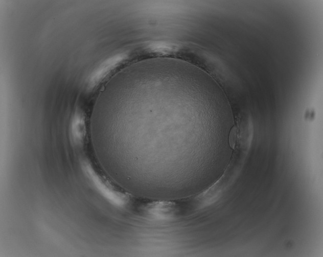 X0000111230128200907021408