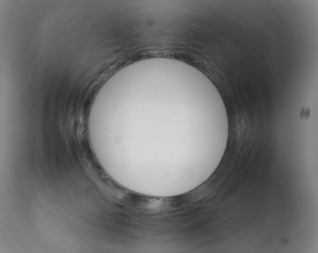 X0000111230130200907021408