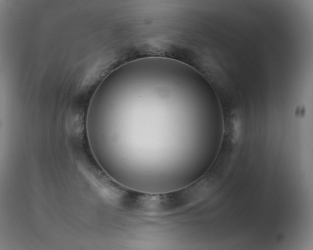X0000111230131200907021408