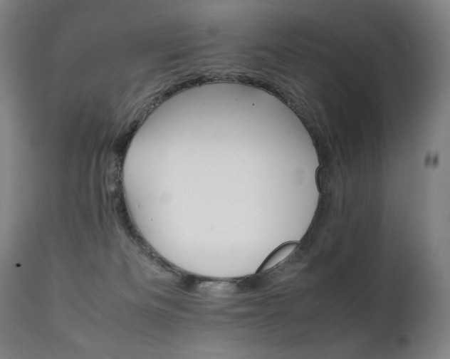 X0000111230133200907021408