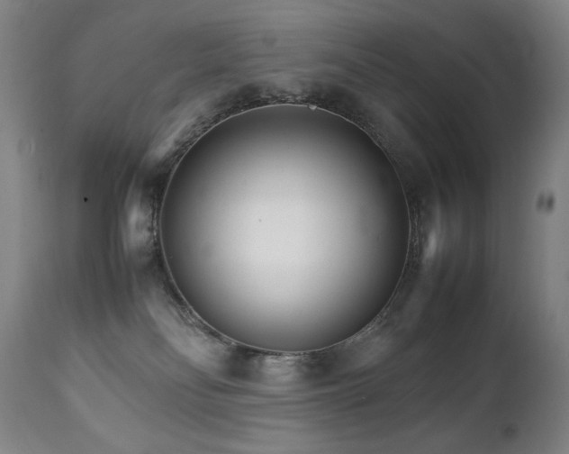 X0000111230134200907021408