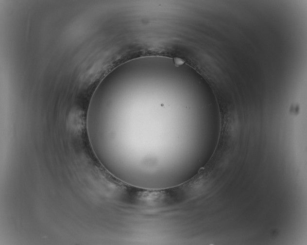 X0000111230135200907021408