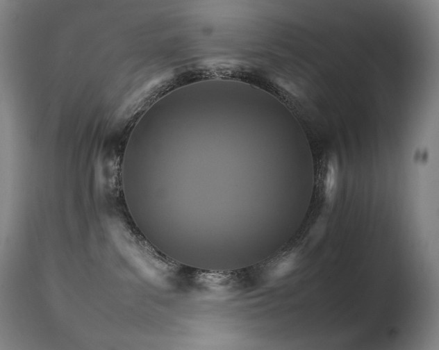 X0000111230139200907021408