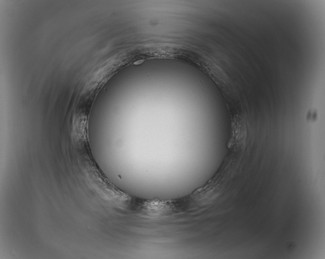 X0000111230141200907021408