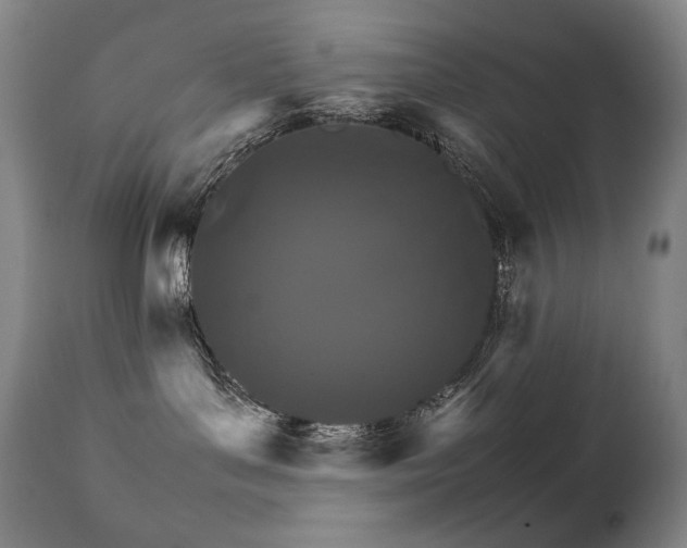 X0000111230143200907021408