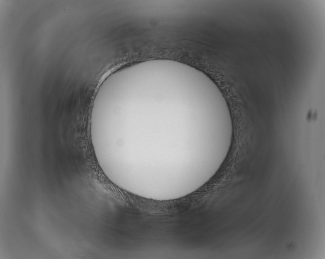 X0000111230144200907021408