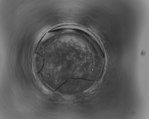 X0000111230145200907021407