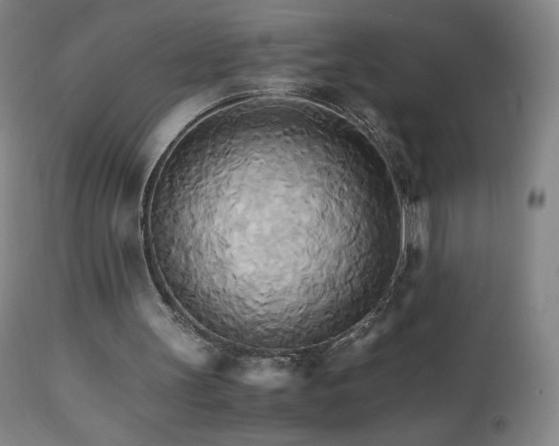 X0000111230147200907021407