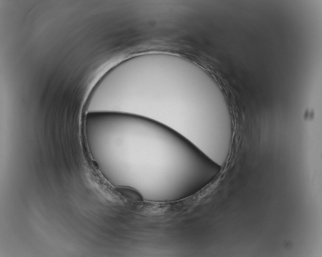 X0000111230148200907021407