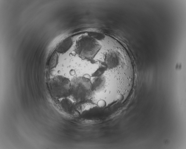 X0000111230149200907021407