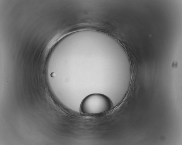 X0000111230150200907021407