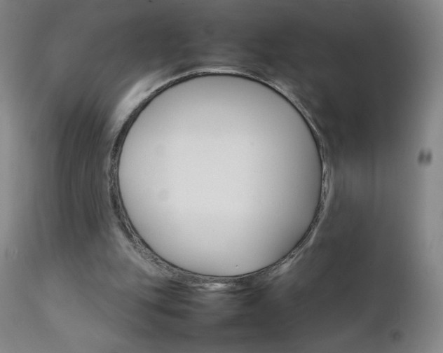 X0000111230151200907021407