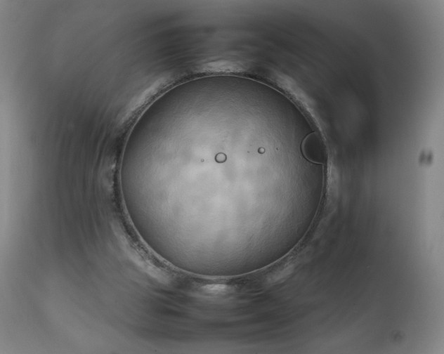 X0000111230153200907021407