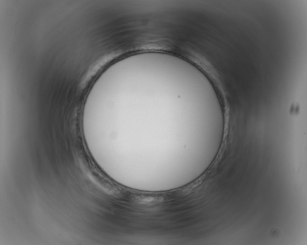 X0000111230155200907021407