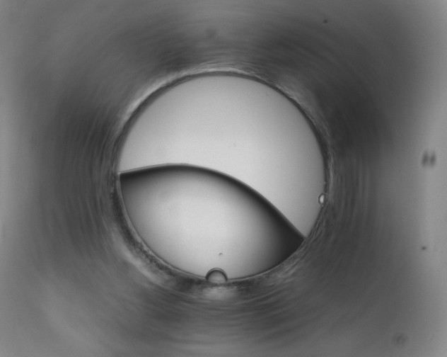X0000111230156200907021407