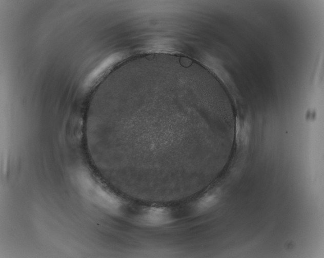 X0000111230157200907021407