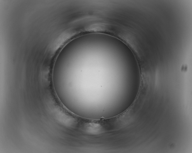 X0000111230159200907021407