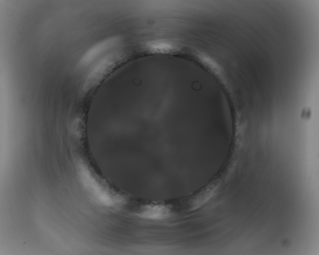 X0000111230161200907021407
