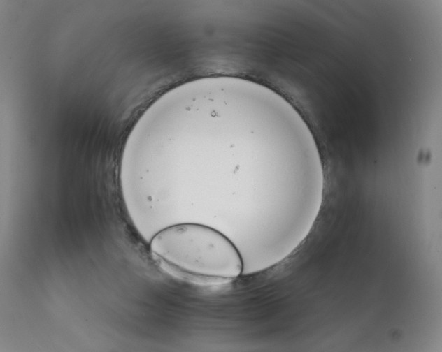 X0000111230162200907021407