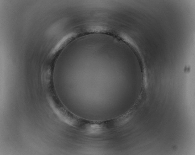 X0000111230163200907021407