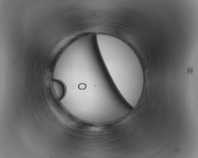 X0000111230164200907021407