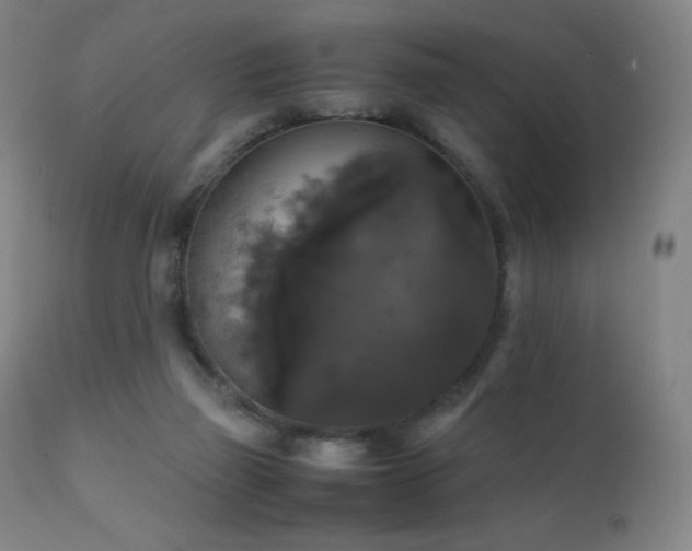 X0000111230165200907021407