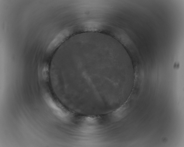 X0000111230166200907021407